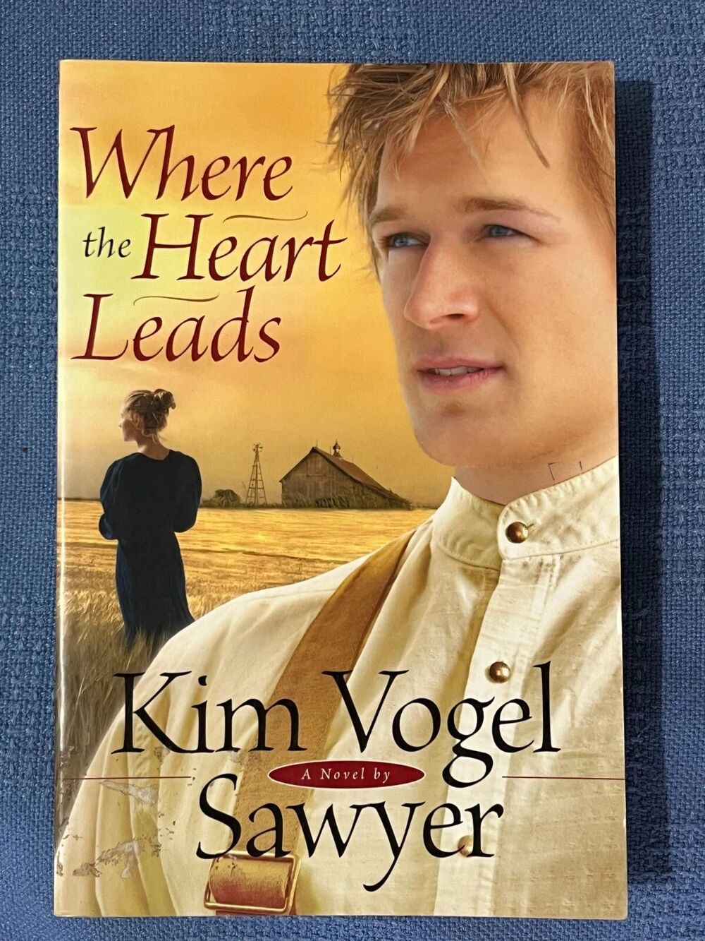 WHERE THE HEART LEADS Kim Vogel Sawyer  Amish  Inspirational